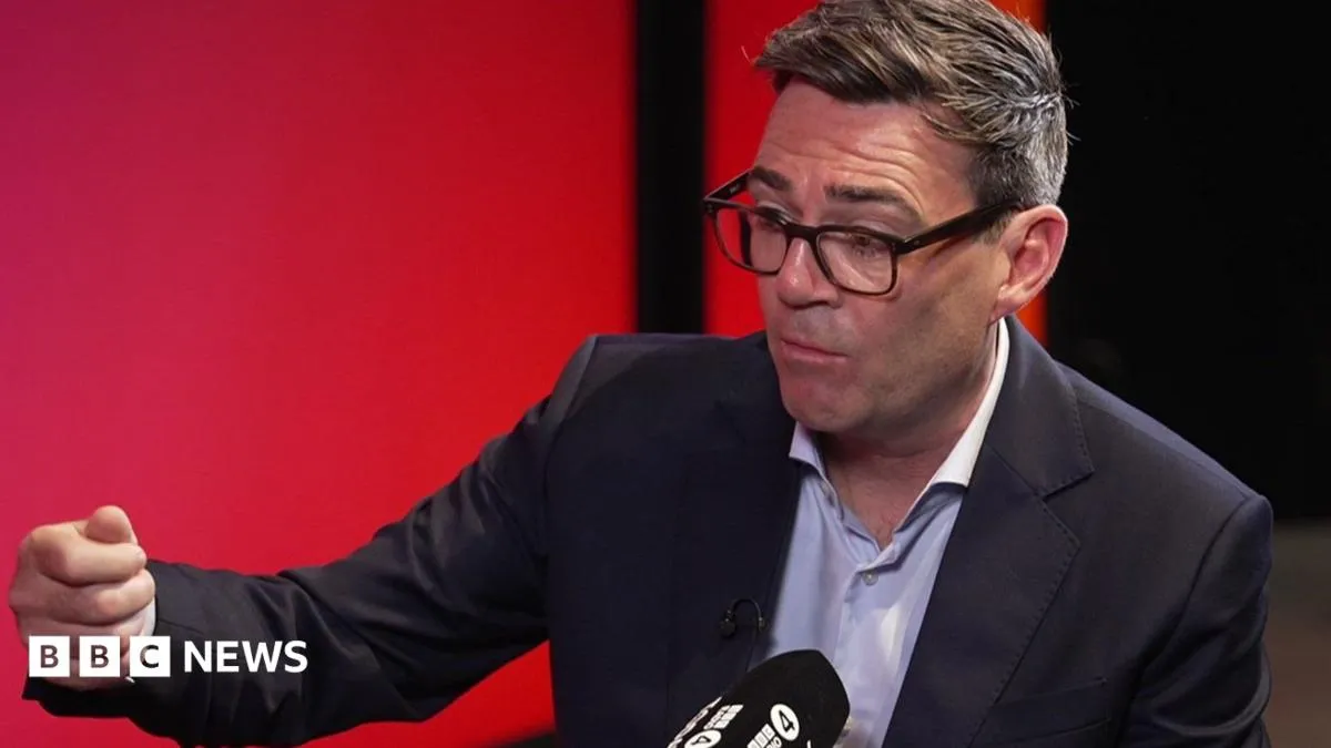 Burnham puts rejoining EU among four options for Britain